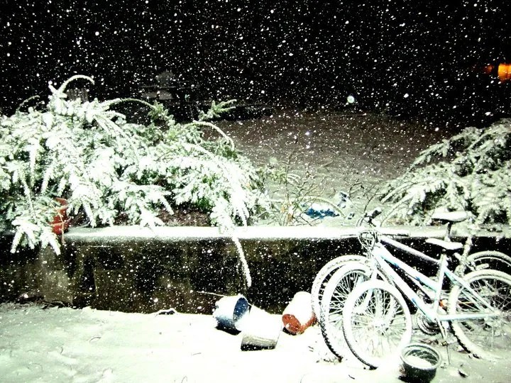 Where Have All the Weirdos&nbsp;Gone?